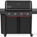 Image 1 of Weber Genesis E-430 review